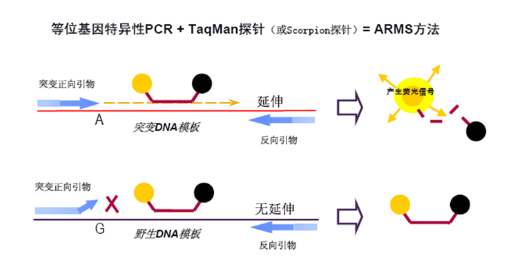 尊龙凯时网娱乐最新版 - 人生就得搏官网